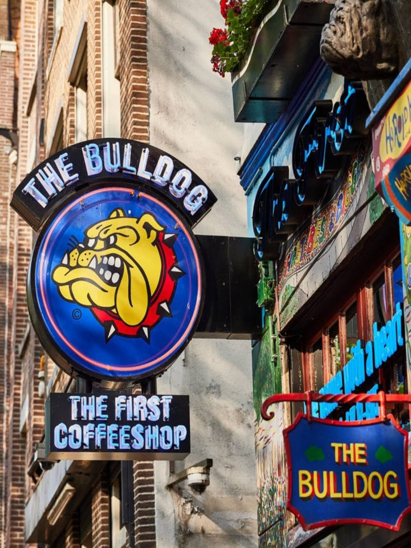 The Bulldog - logo aan een pand