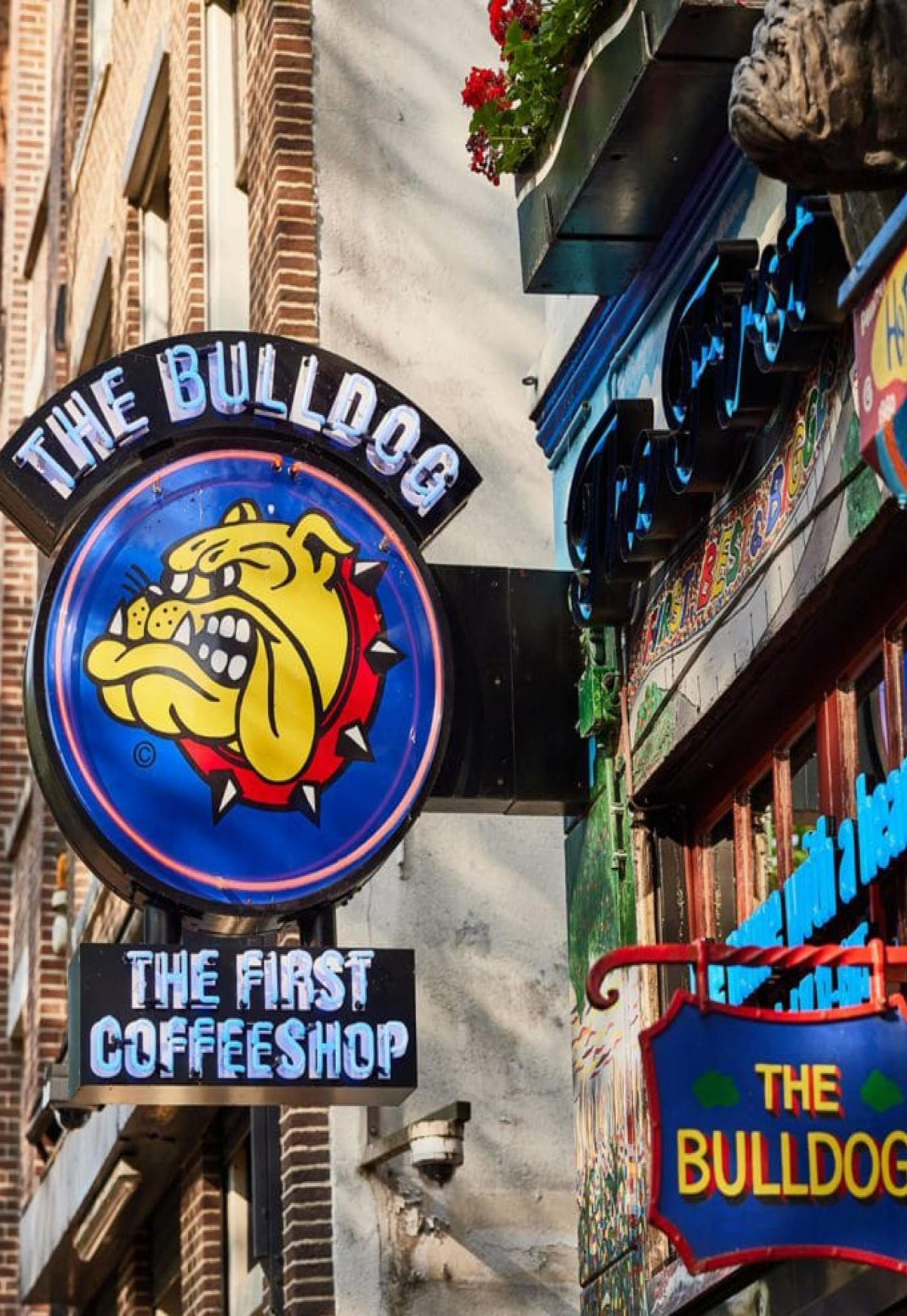 The Bulldog - logo aan een pand